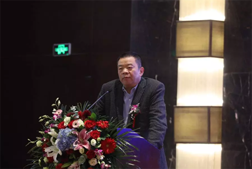 广州迪森家居环境技术有限公司总裁李祖芹