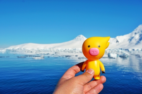 弹个车、飞猪联合洽洽创新品牌营销，用“免费南极游”撬动年轻消费市场