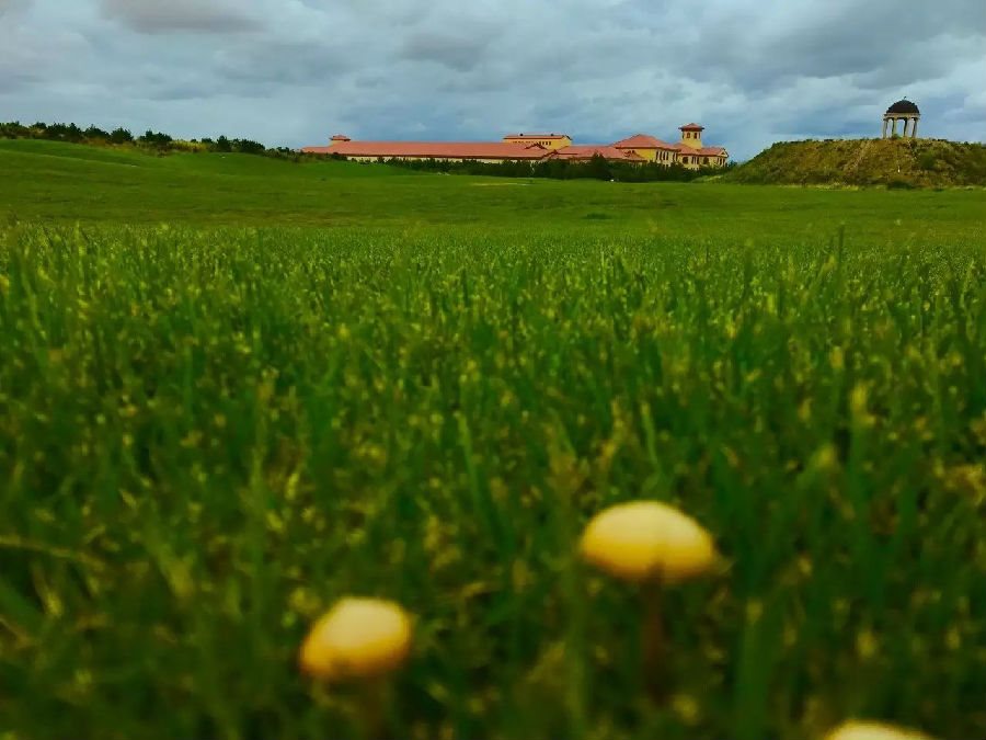 沙恩国际庄园携手2018圣牧杯国谊赛暨首届乌兰布和沙漠沙产业博览会新闻发布