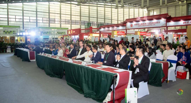 2018梧州六堡茶行销全球国际营销论坛圆满举行!