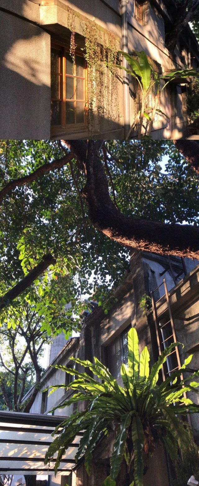 周杰在娱乐圈混不下去了？人家可是低调的亿万富豪！