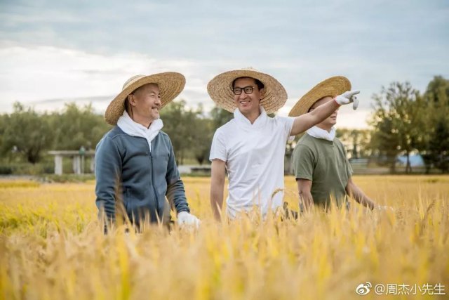 周杰在娱乐圈混不下去了？人家可是低调的亿万富豪！