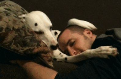 视连通：流水的短视频，铁打的场景化营销