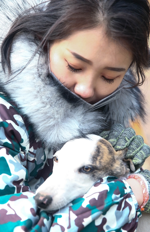 90后女孩为流浪动物搭建爱的