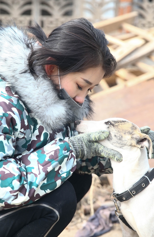 90后女孩为流浪动物搭建爱的