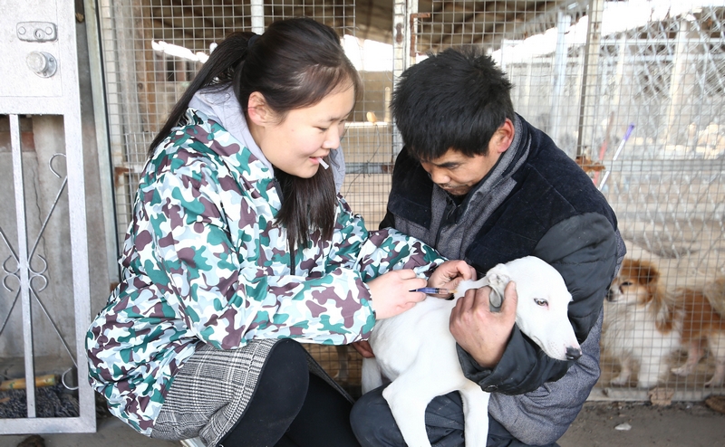 90后女孩为流浪动物搭建爱的