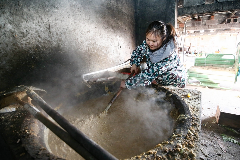 90后女孩为流浪动物搭建爱的