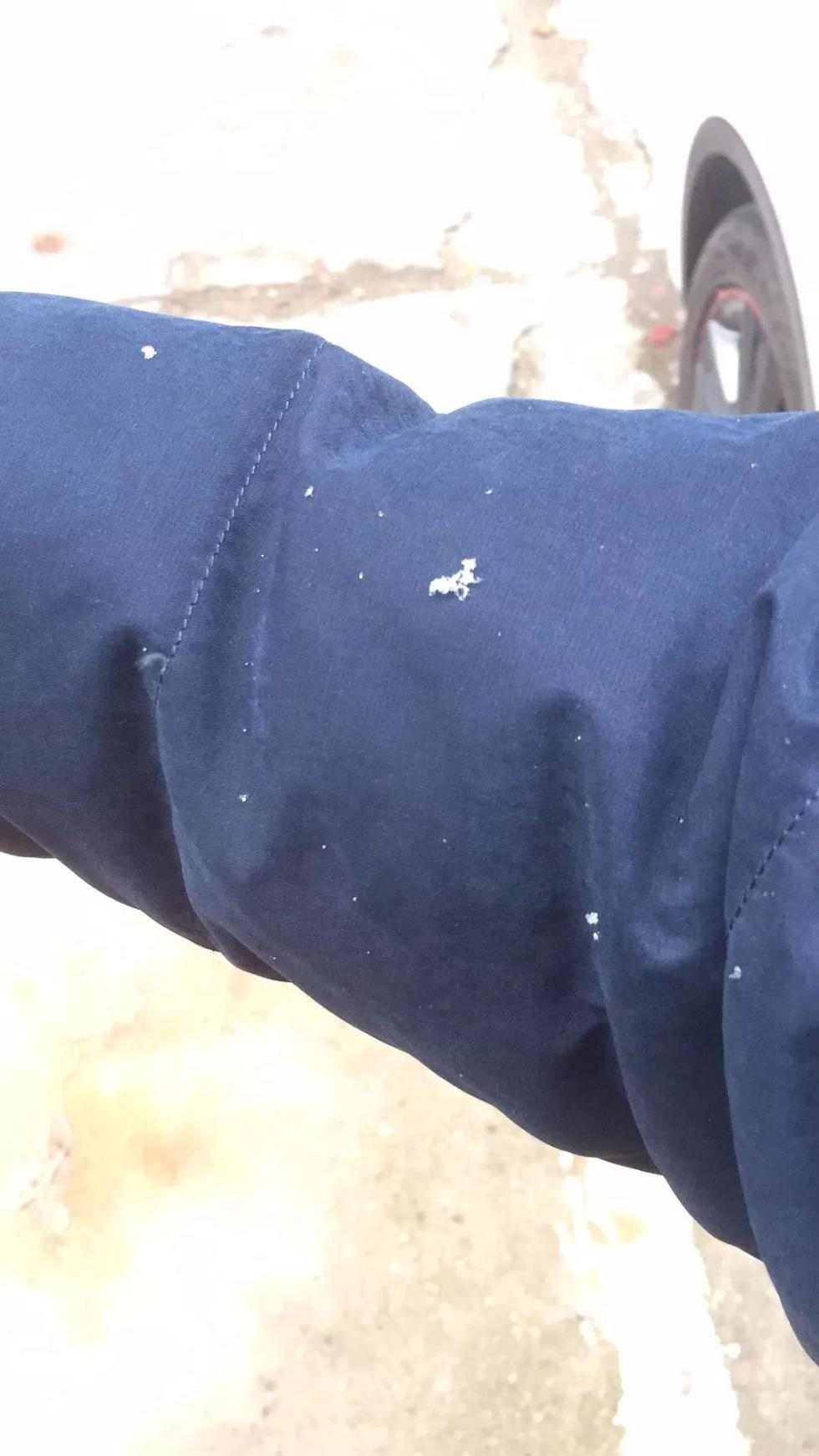 刚刚！南昌下雪啦！明后天还有更大的！江西元旦天气出炉！