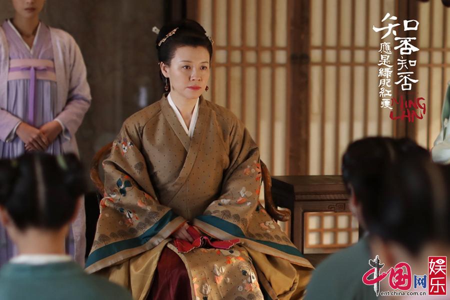 新老戏骨齐上阵《知否知否应是绿肥红瘦》开播