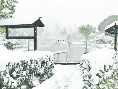 大雪突降，长江日报记者探访各行各业从容应对，武汉迎来瑞雪丰年