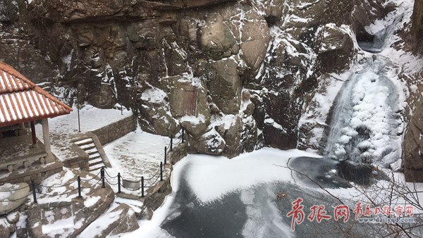 青岛今天又下雪啦！最新一波雪景出炉