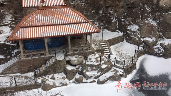 青岛今天又下雪啦！最新一波雪景出炉