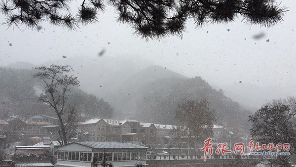 青岛今天又下雪啦！最新一波雪景出炉