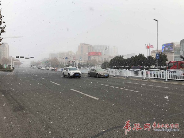 青岛今天又下雪啦！最新一波雪景出炉