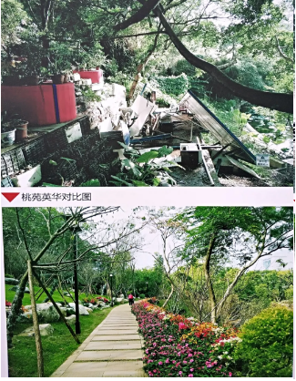 屏山公园热闹开园！重装迎客的ta美极了……