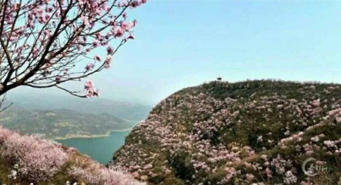 2018洛阳荆紫仙山第四届桃花节新闻发布会在郑州举行