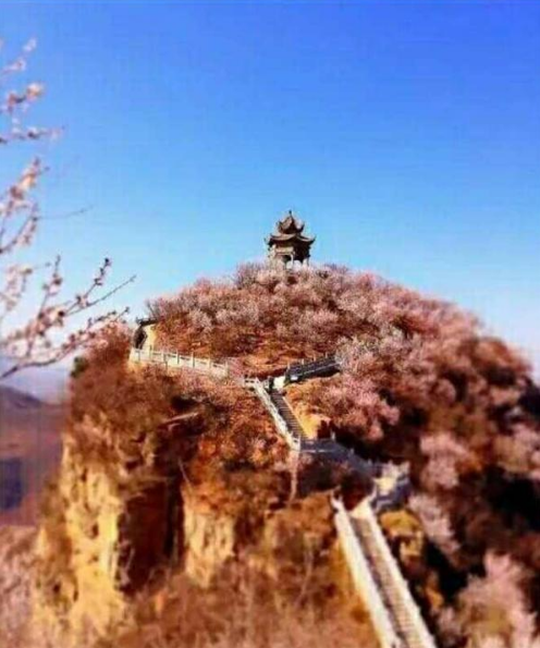 2018洛阳荆紫仙山第四届桃花节新闻发布会在郑州举行