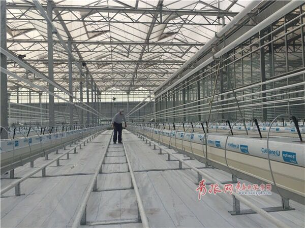 打造国家现代农业示范区 市政府出台重磅规划！