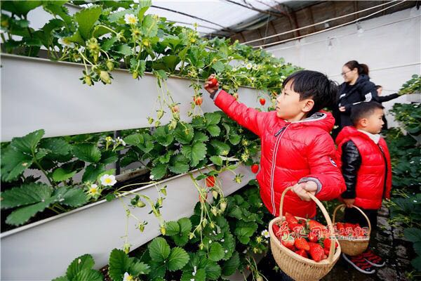 打造国家现代农业示范区 市政府出台重磅规划！