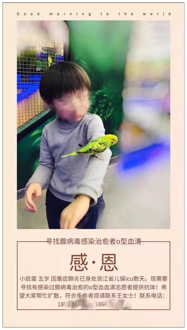 “小屁蛋”急寻救命血清 关键时刻站出来的是位空军叔叔