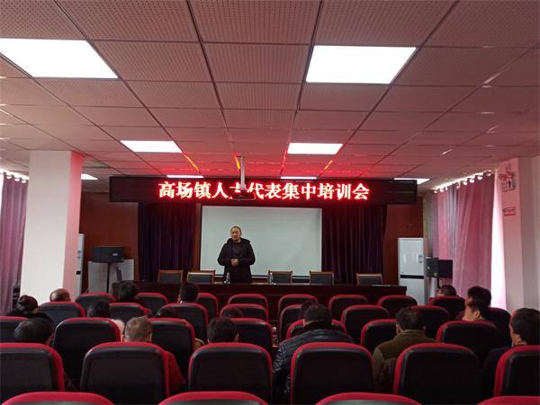 强化职能监督 提升履职水平——高场镇组织人大代表开展视察活动