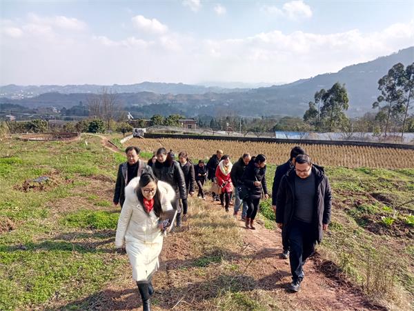 强化职能监督 提升履职水平——高场镇组织人大代表开展视察活动