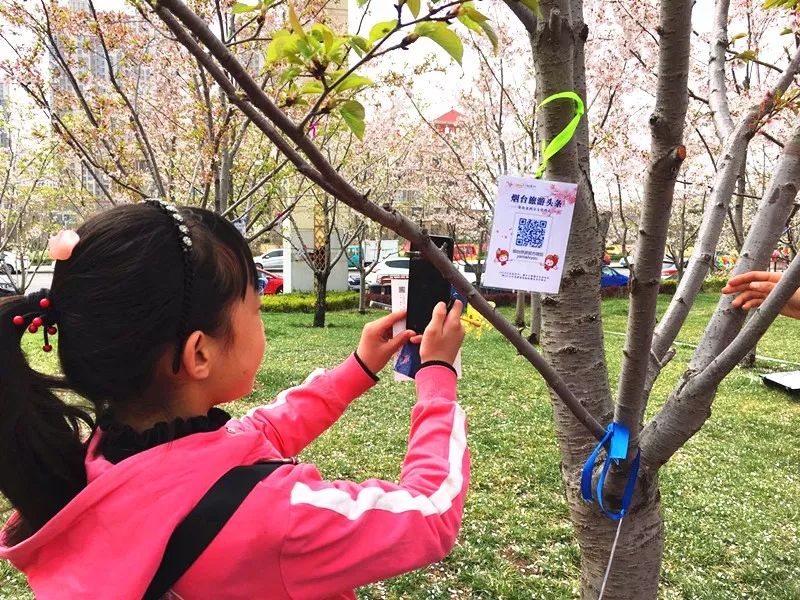 仙境海岸 鲜美烟台| 烟台旅游网络营销获评全省年度十佳优秀案例