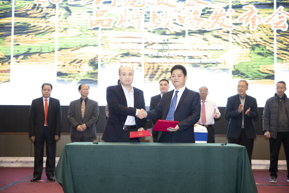 2019宁化河龙贡米品牌战略发布会在福州举行