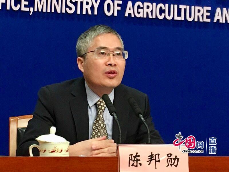 农业农村部市场与信息化司司长唐珂(中国网 宗超 摄影)