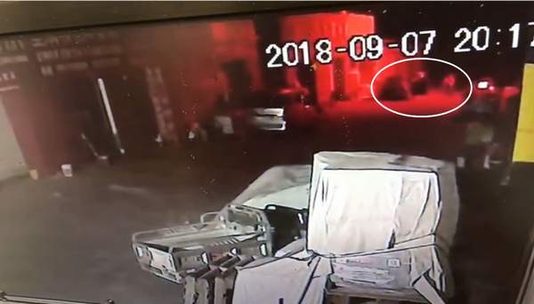 捡狗以盗窃被拘？监控视频公布 男子:不能证明我偷