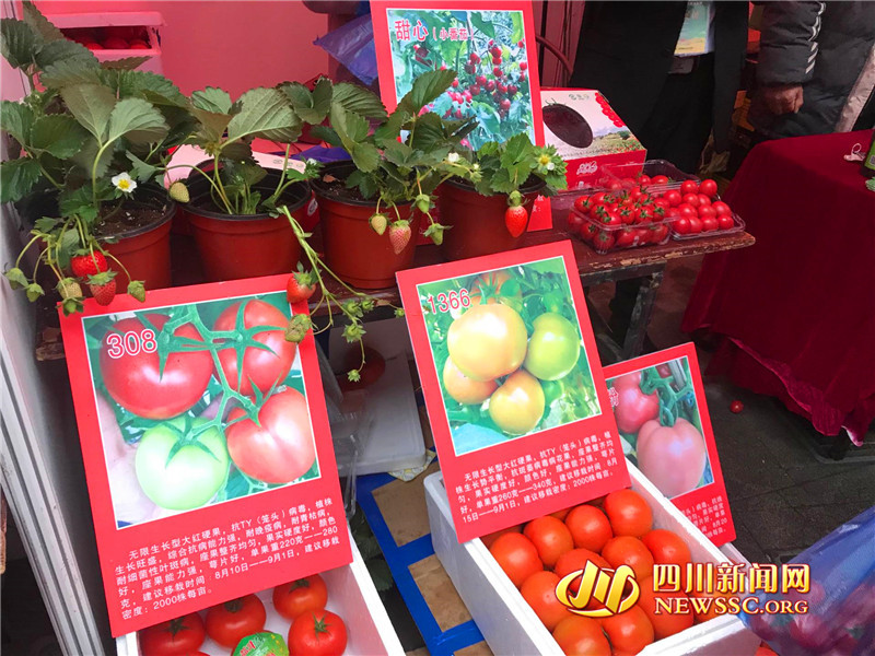 快来买年货！第十届四川省农民合作社优质农产品迎春大联展举办