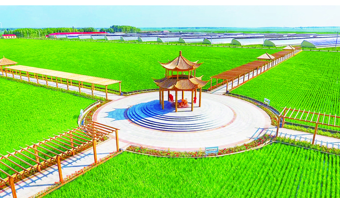 长春：勇当绿色有机农业“探路者”