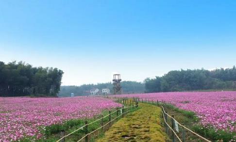 中国旅游新闻网:聚焦产业融合发展 湖北赤壁全域旅游特色凸显