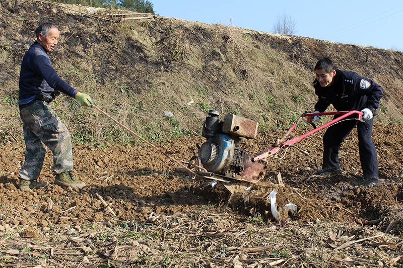 【脱贫攻坚在行动】南江百余民警放下“钢枪”拿锄头 下到田间地头开展主题党日活动（图）