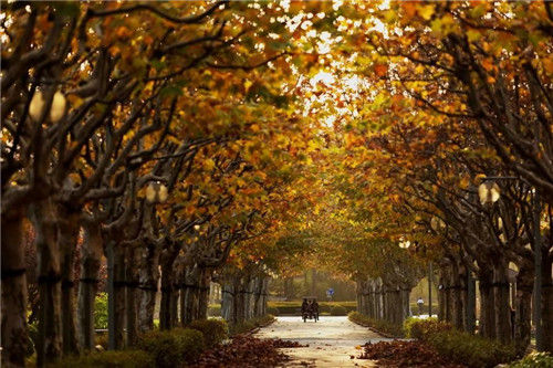 来空港选择家的未来 选择未来的家——空港新都孔雀城
