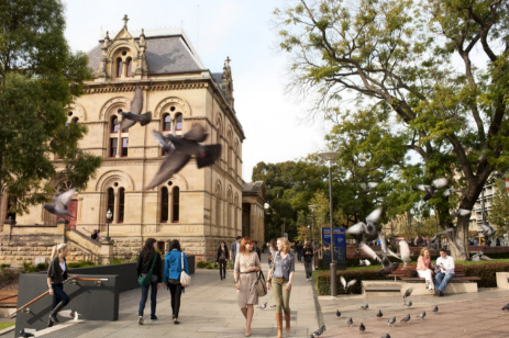 中国旅游新闻网：租租车新年活动：南澳自驾尽享海岸美景及假日风情