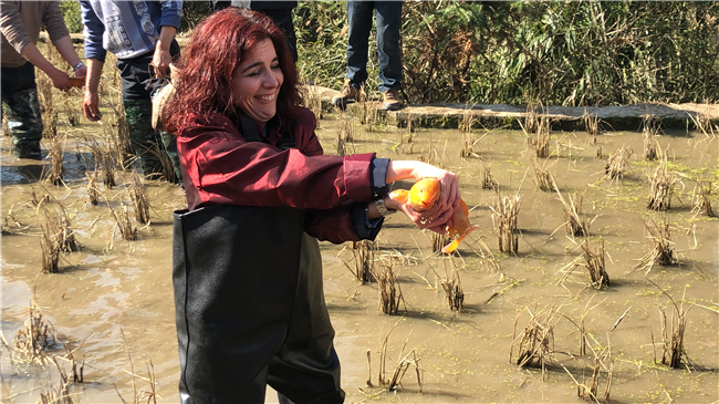 【新春走基层】让世界爱上中国 国际友人来浙过“侨乡中国年”