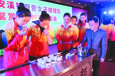 安溪铁观音“钟意”福建女排