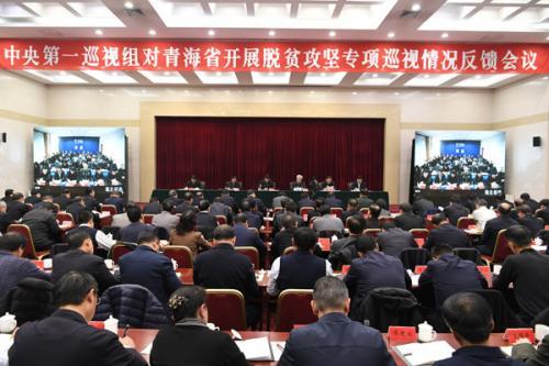 中央脱贫攻坚专项巡视反馈情况全部公布 发现哪些问题？