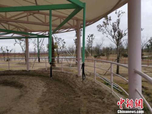 “旋转活马”设备 唐娟 摄