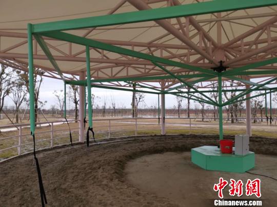“旋转活马”设备 唐娟 摄