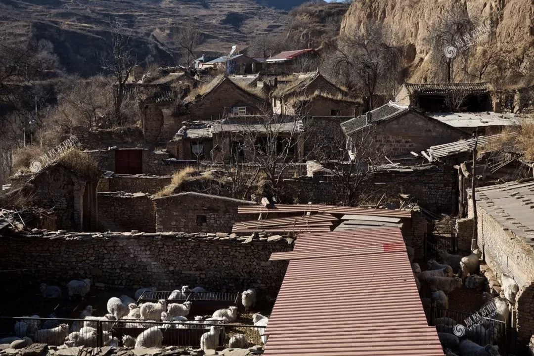 专访《啥是佩奇》导演：为何选那位大爷？为何用鼓风机？