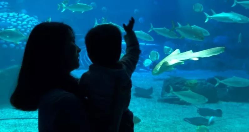 2018年旅游营销TOP10起底大盘点（上）：景区篇