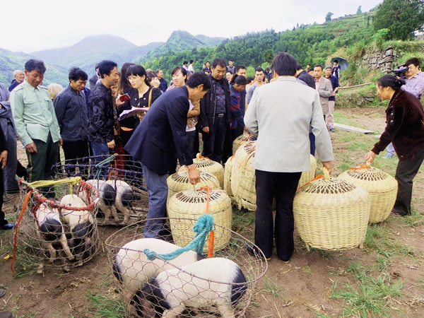 坚决打赢十大攻坚战｜民生实事攻坚篇 精准发力解民忧 全力攻坚惠民生