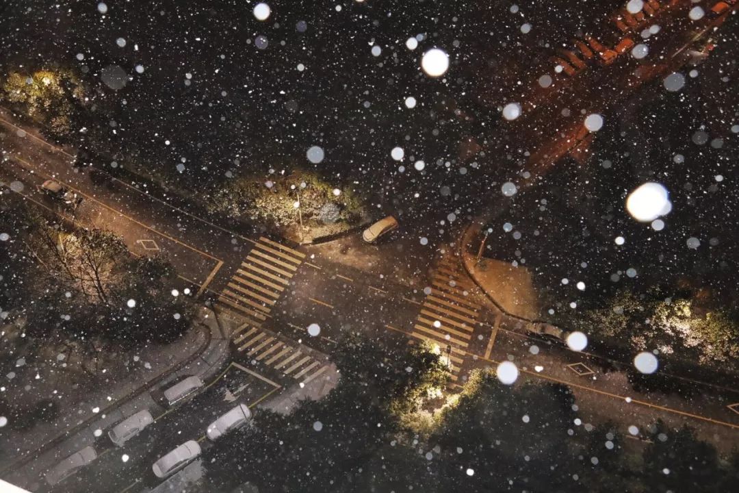 应急发布：雪怎么下？路管不管制？返程怎么走？