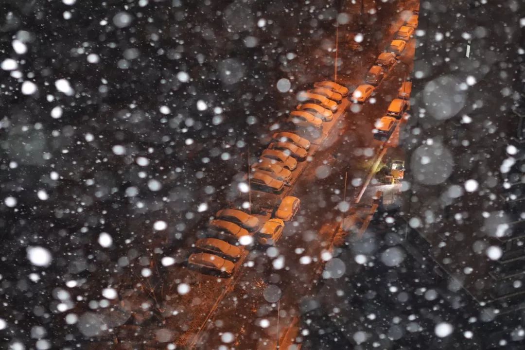 应急发布：雪怎么下？路管不管制？返程怎么走？