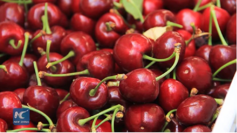 一颗卖6元，月薪上万也吃不起车厘子？网友哭穷，这个小国却笑着数钱