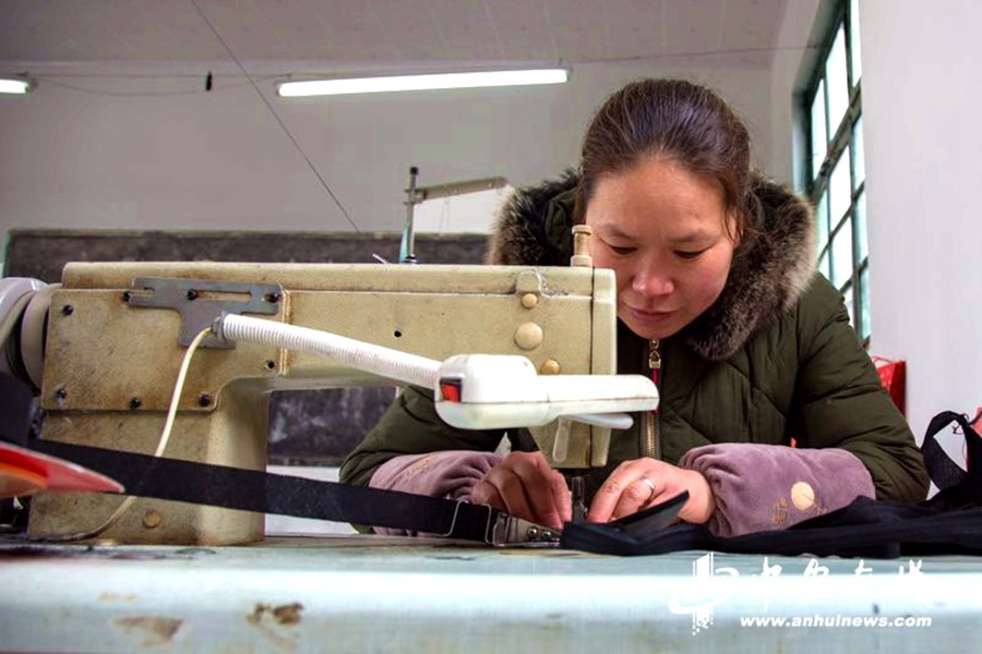 【新春走基层】蚌埠:产业扶贫促增收 村民走上致富路