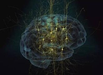 神经形态计算 新研究可以带来更高能效的计算