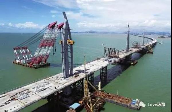 大批中华白海豚“亮相”港珠澳大桥、淇澳岛海面